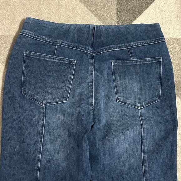 Soft Surroundings The Ultimate Denim Pull-on Skinny Jeans Women's Size M - Picture 5 of 8